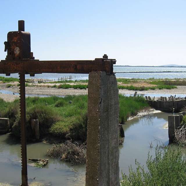 DÉFIS NATURE : LES MAL-AIMÉS DE LA BIODIVERSITÉ