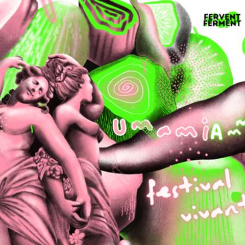 FESTIVAL UMAMIAMMM