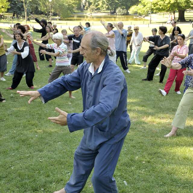 TAI CHI CHUAN, QI GONG, MEDITATION - ECOLE ITCCA MONTPELLIER