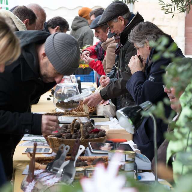 FÊTE DE LA TRUFFE À SAINT-GENIÈS-DES-MOURGUES