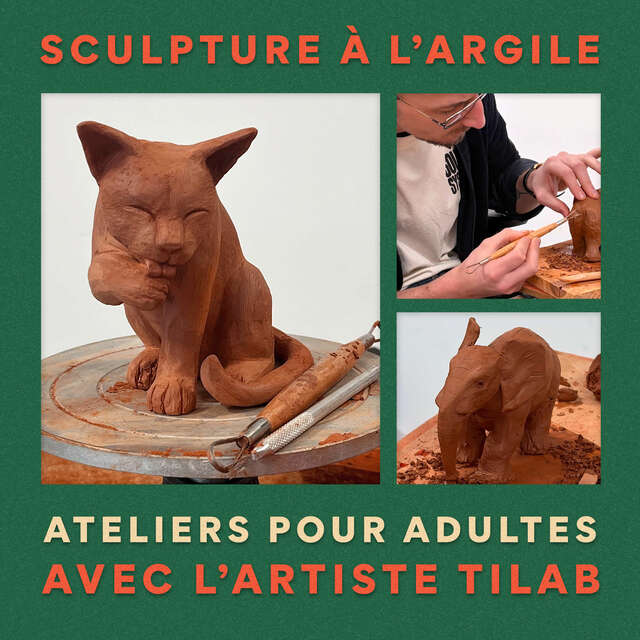 STAGE ADULTES- ANIMAUX D'ARGILE