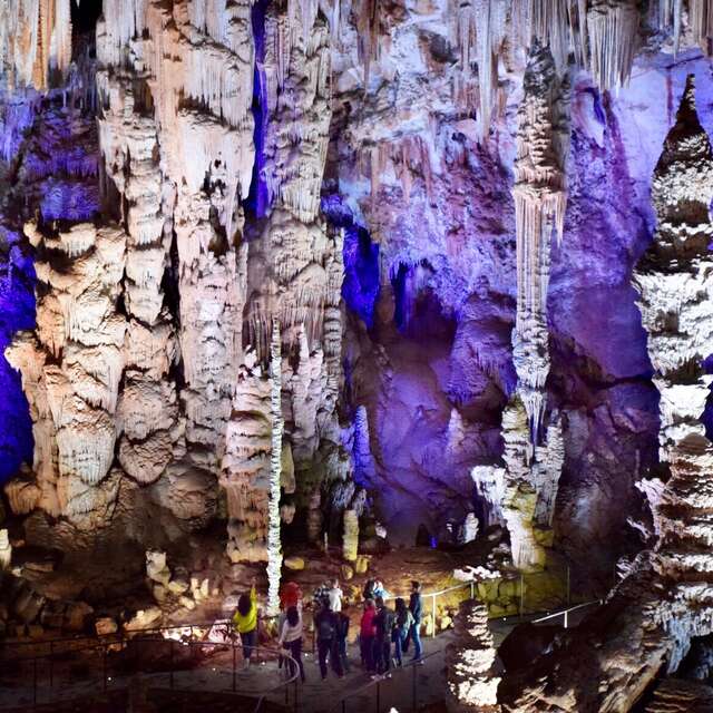 LA GROTTE DE LA SALAMANDRE