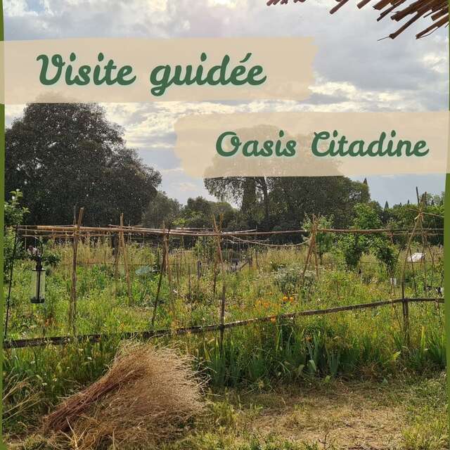 VISITE GUIDÉE DÉCOUVERTE DE LA PERMACULTURE - OASIS CITADINE