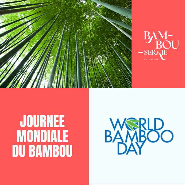JOURNÉE MONDIALE DU BAMBOU