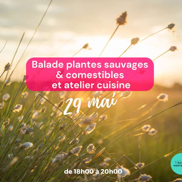 BALADE PLANTES SAUVAGES COMESTIBLES