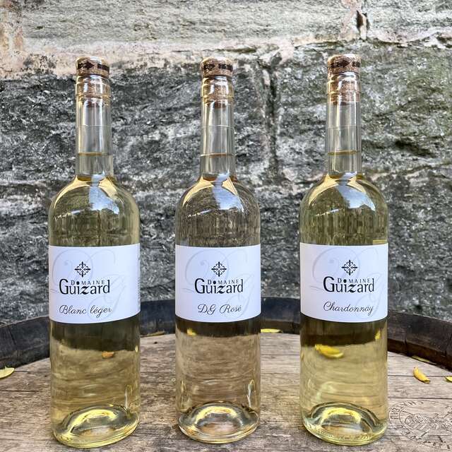 DOMAINE GUIZARD