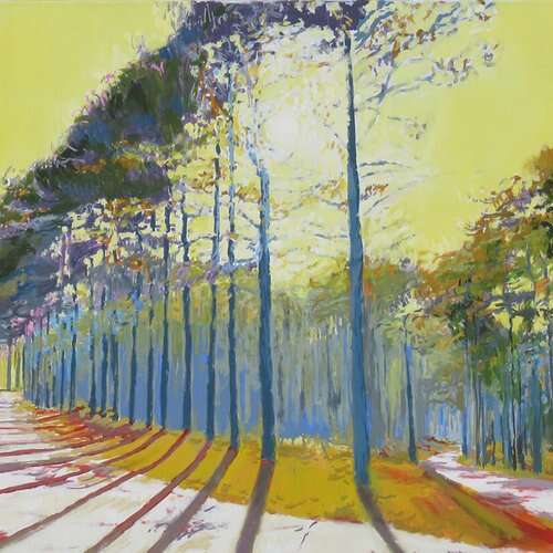 EXPOSITION « L’HÉRAULT FLAMBOYANT » DAVID RYCROFT