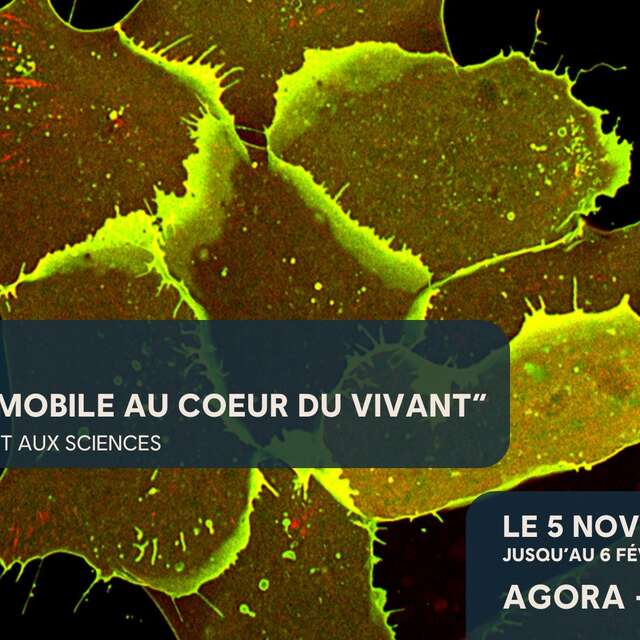 EXPOSITION "VOYAGE IMMOBILE AU CŒUR DU VIVANT"