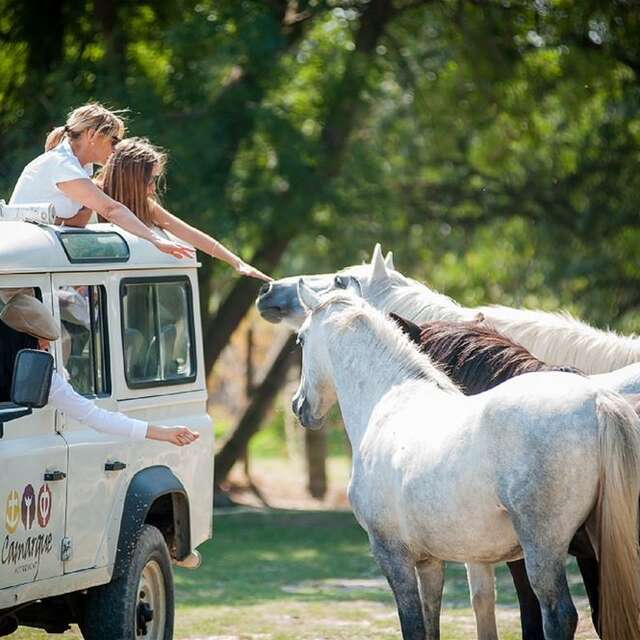 CAMARGUE AUTREMENT