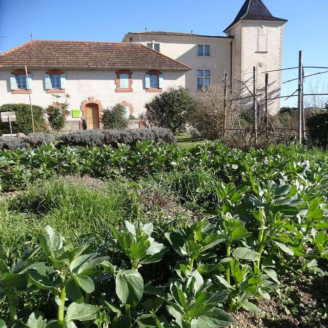ATELIER INITIATION JARDINAGE BIO