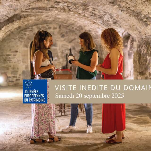 VISITE GUIDÉE DU CHÂTEAU DE LASCAUX