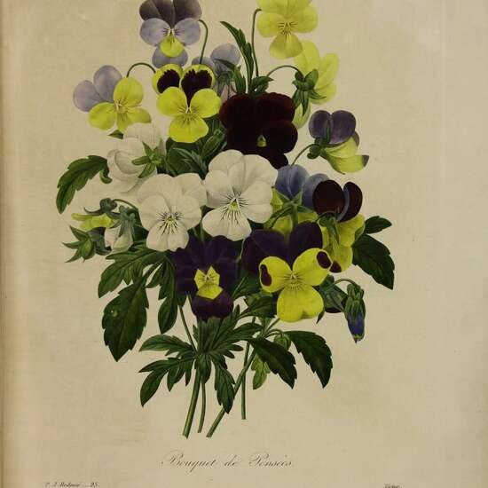 LE LANGAGE DES FLEURS