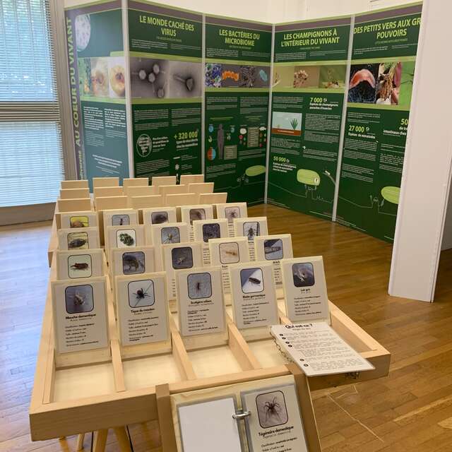 VISITES COMMENTÉES D'EXPOSITIONS POUR ENFANT : LES MERCREDI DE LA BIODIVERSITÉ