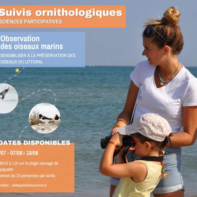 SORTIES ORNITHOLOGIQUES PARTICIPATIVES