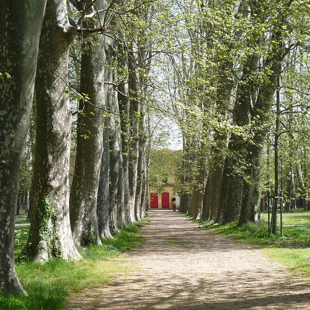 CHÂTEAU DES EVÊQUES (DIT CHÂTEAU DE LAVÉRUNE)