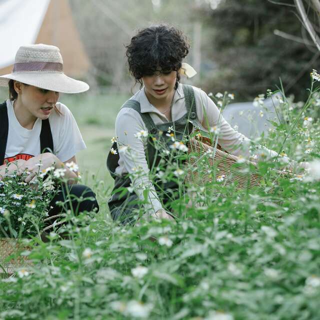 ATELIER CUEILLETTE ET CUISINE SAUVAGE AVEC OENOTOURISME