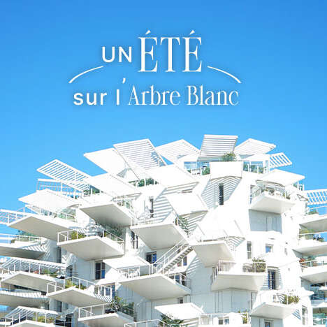 UN ÉTÉ SUR L’ARBRE BLANC