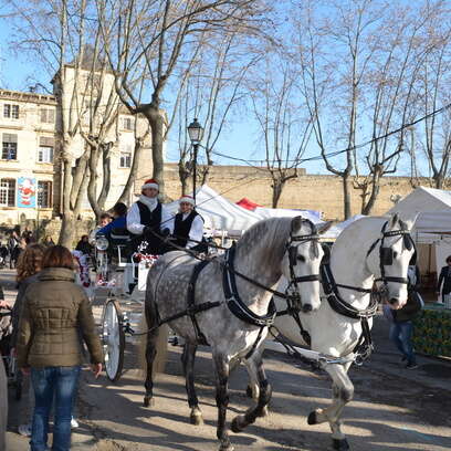 MARCHÉ DE NOËL DE PIGNAN