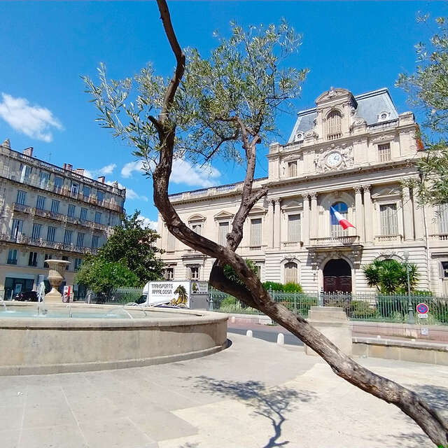 PLACE DES MARTYRS DE LA RÉSISTANCE
