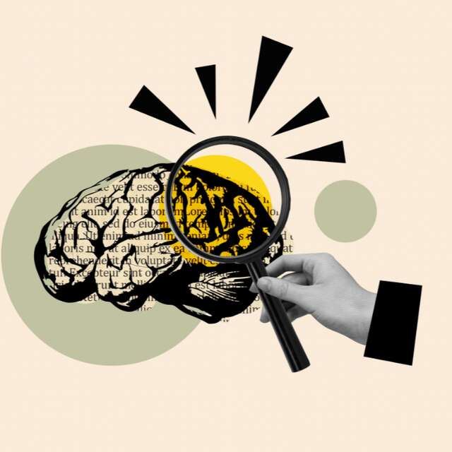 ATELIER : SAPIENS… SAPIENS ?