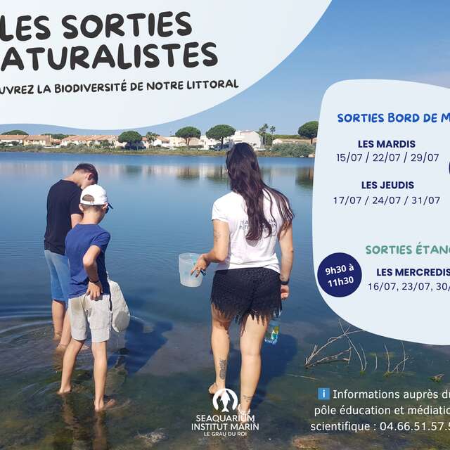 SORTIES PLAGE ET SORTIE ÉTANG