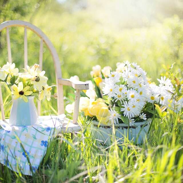 JOURNÉE DES JARDINS