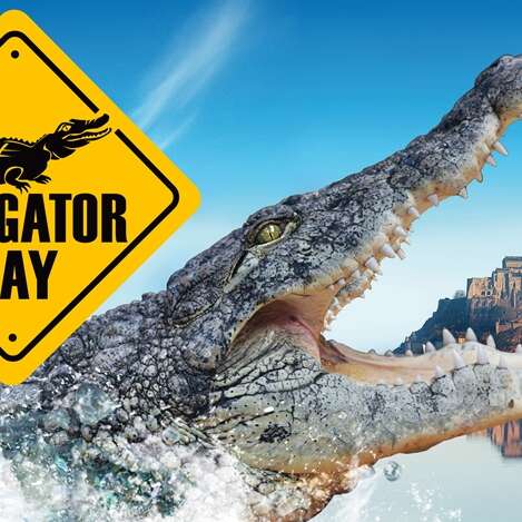Alligator Bay
