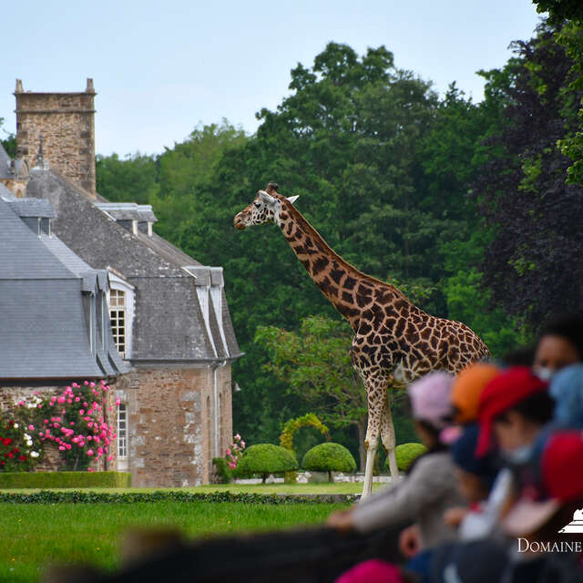 Château et Parc zoologique de la Bourbansais