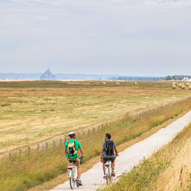 Location de vélo