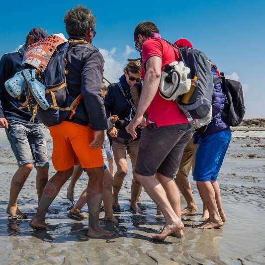 Chemins de la Baie du Mont-Saint-Michel