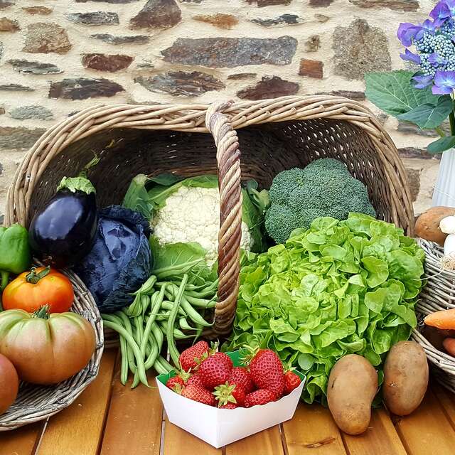 Vente à la ferme Bio chez Patricia