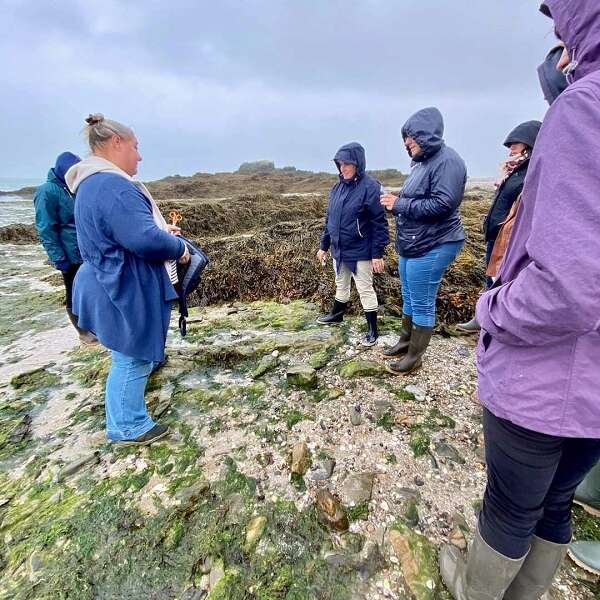Balade autour des algues et visite de la Ferme Marine