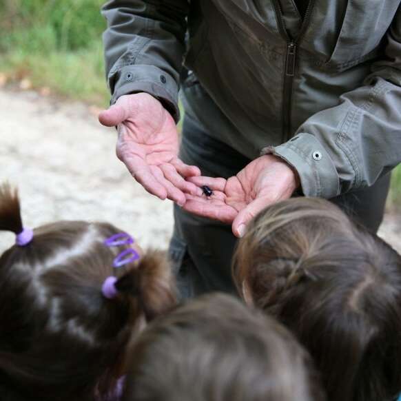 Les sorties de la Maison de la Rance