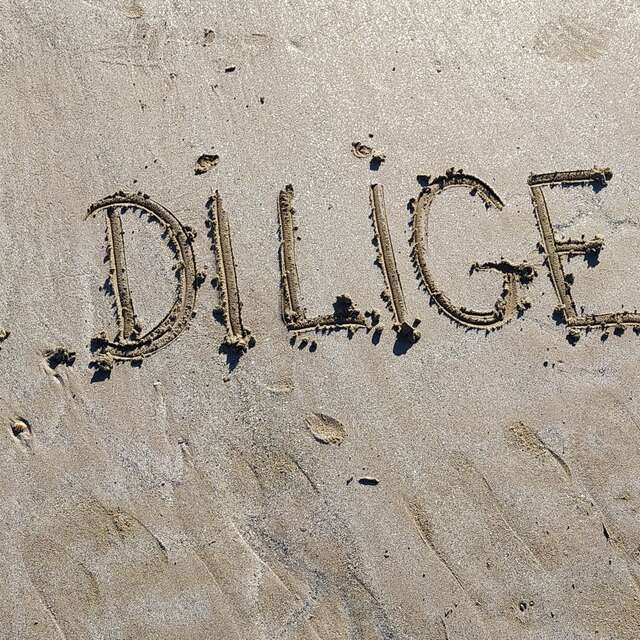 Conciergerie Les Diligences