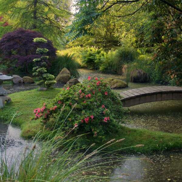 Parc Botanique de Haute Bretagne
