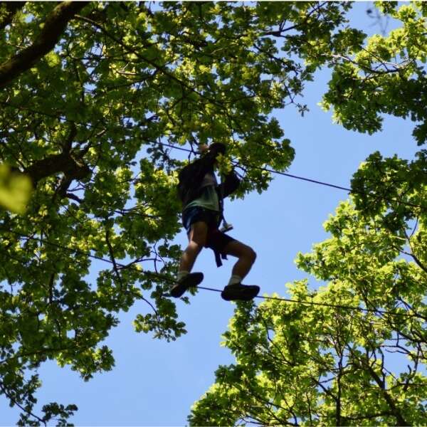 Accrobranche - Parc des Grands Chênes