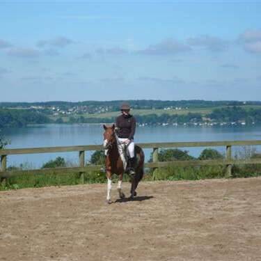 Centre Equestre et Poney Club Les Ecuries des Perrières