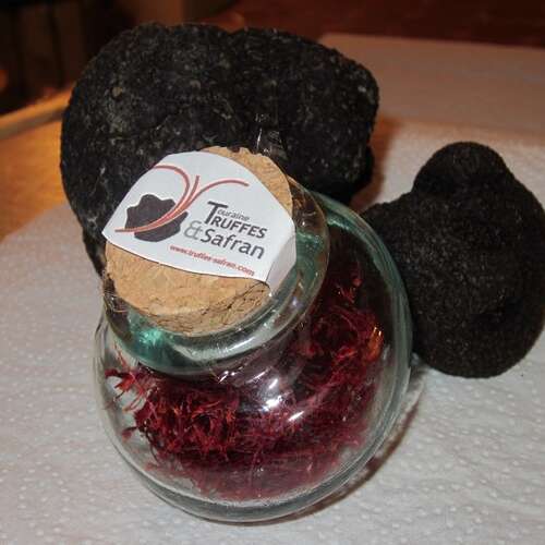 Touraine Truffes et Safran
