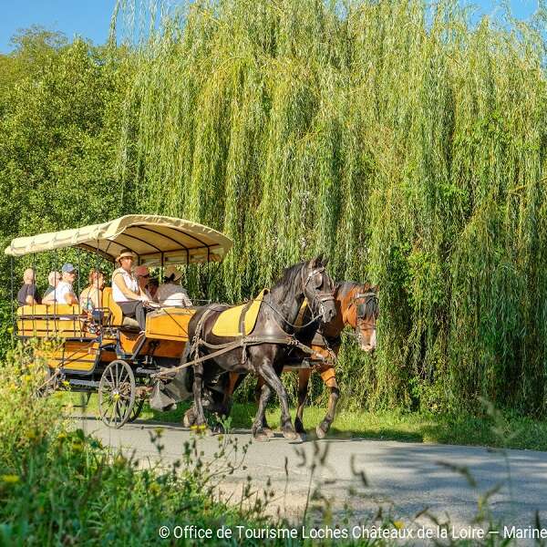Promenade en calèche - Loches et Beaulieu-Les-Loches
