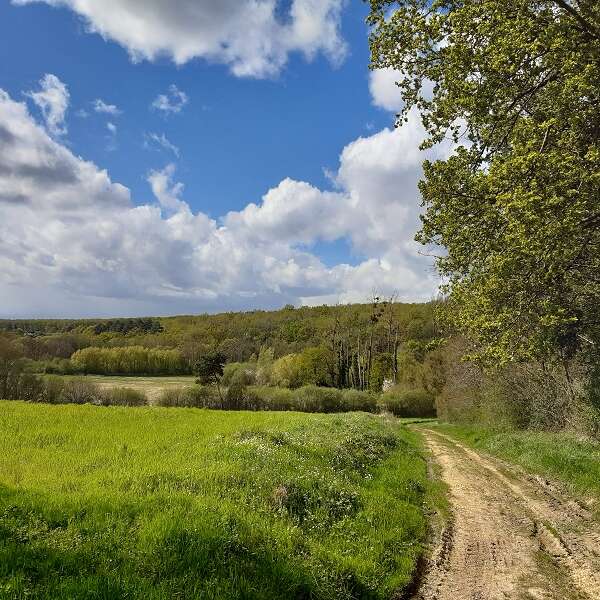 Entre osier et troglos