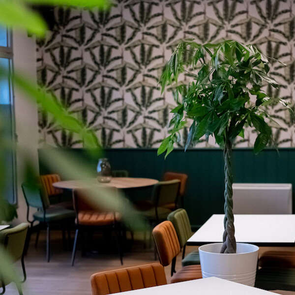 Le Garden