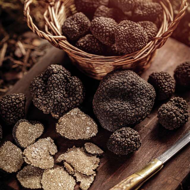 Marché aux truffes et au safran 2025 à Amboise