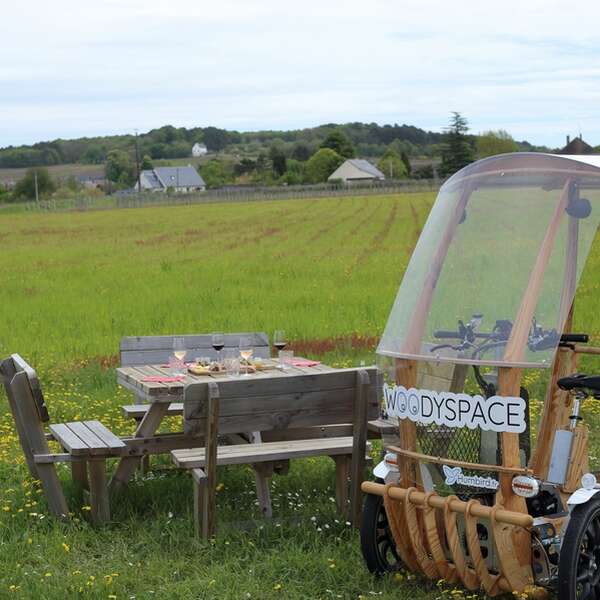 Vignobles en scène ! - Balade en woodyspace et accords mets et vins
