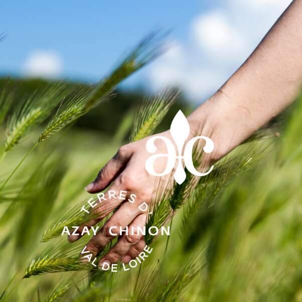 Chantier bénévole nature : Camp des Romains