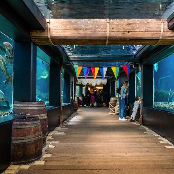 Aquarium de Touraine