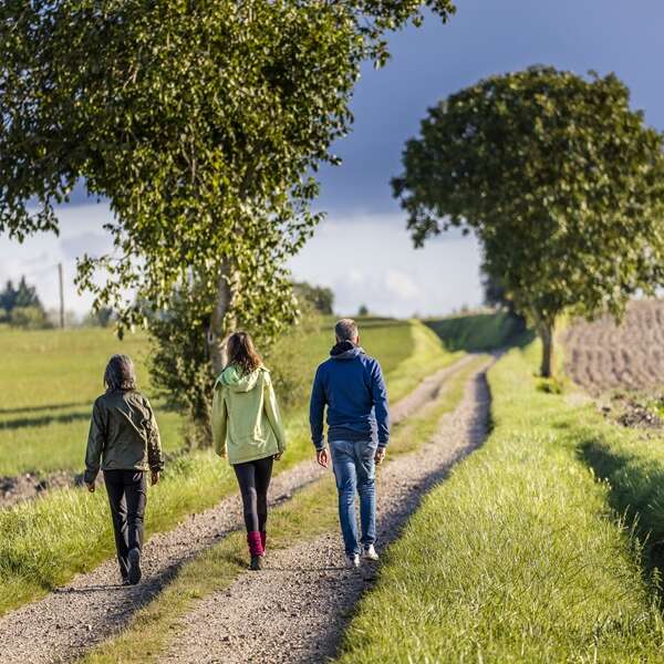 Randonnée des rousseroles