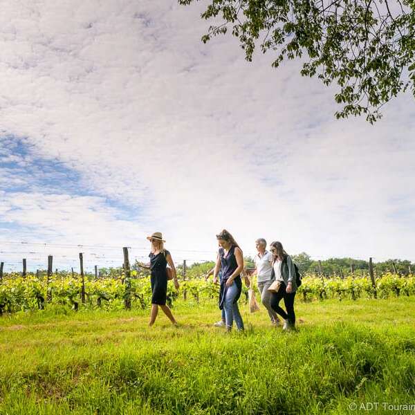 Domaine Nicolas Paget