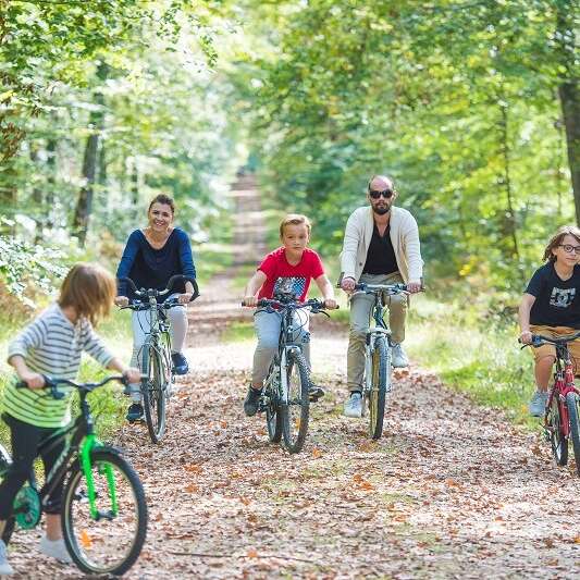 Au cœur de la forêt domaniale de Loches - Boucle vélo n°2