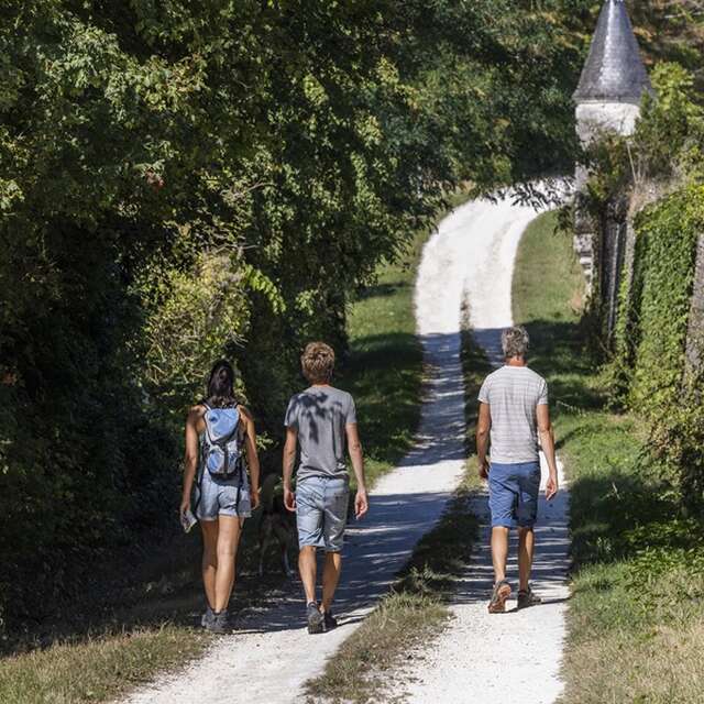 Randonnée pédestre