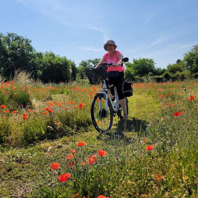La Vellilocienne - Promenade à vélo